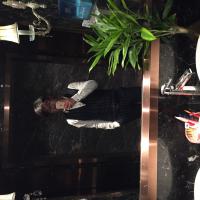 /photo/716454/随便看看吧 我不上镜的/image_1_1_small.jpg